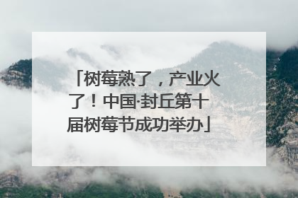 树莓熟了，产业火了！中国·封丘第十届树莓节成功举办