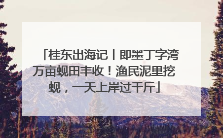 桂东出海记丨即墨丁字湾万亩蚬田丰收！渔民泥里挖蚬，一天上岸过千斤