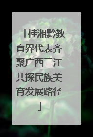 桂湘黔教育界代表齐聚广西三江共探民族美育发展路径