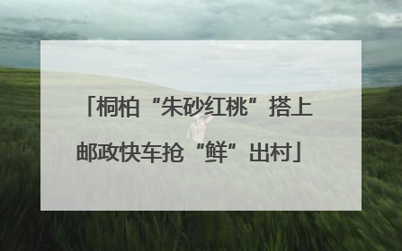 桐柏“朱砂红桃”搭上邮政快车抢“鲜”出村