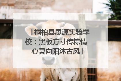 桐柏县思源实验学校：黑板方寸传粽情 心灵向阳沐古风