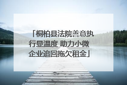 桐柏县法院善意执行显温度 助力小微企业追回拖欠租金