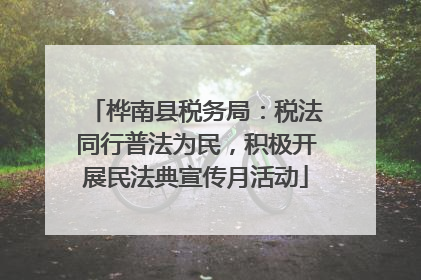 桦南县税务局：税法同行普法为民，积极开展民法典宣传月活动