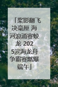 桨影翻飞决毫厘 海河浪涌赛蛟龙 2025滨海龙舟争霸赛燃爆端午