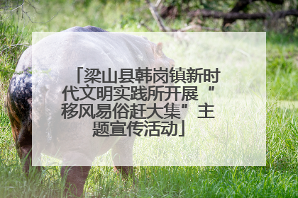 梁山县韩岗镇新时代文明实践所开展“移风易俗赶大集”主题宣传活动