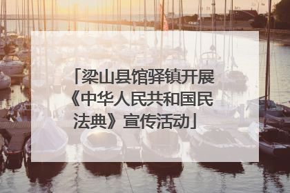 梁山县馆驿镇开展《中华人民共和国民法典》宣传活动