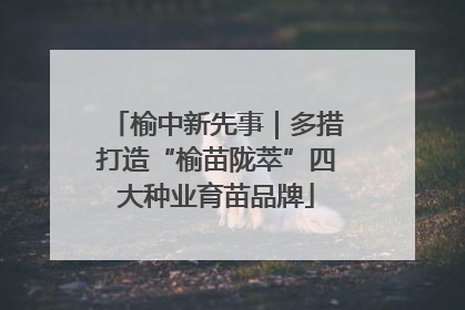 榆中新先事｜多措打造“榆苗陇萃”四大种业育苗品牌