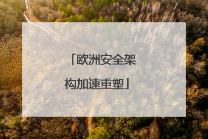 欧洲安全架构加速重塑