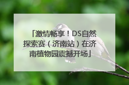 激情畅享！DS自然探索赛（济南站）在济南植物园震撼开场