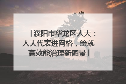 濮阳市华龙区人大：人大代表进网格，绘就高效能治理新图景