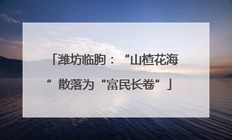 潍坊临朐：“山楂花海”散落为“富民长卷”