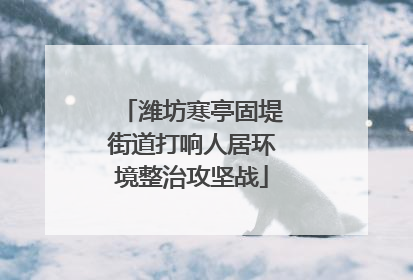 潍坊寒亭固堤街道打响人居环境整治攻坚战