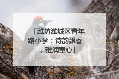 潍坊潍城区青年路小学：诗韵飘香，雅润童心