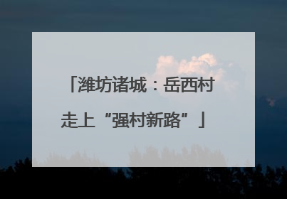 潍坊诸城：岳西村走上“强村新路”