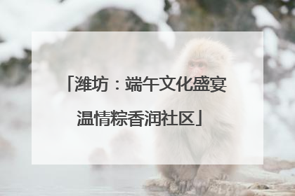潍坊：端午文化盛宴 温情粽香润社区