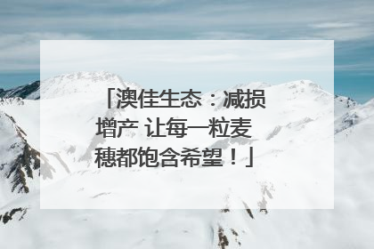 澳佳生态：减损增产 让每一粒麦穗都饱含希望！