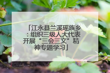 江永县兰溪瑶族乡：组织三级人大代表开展“三会三文”精神专题学习