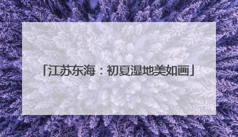 江苏东海：初夏湿地美如画