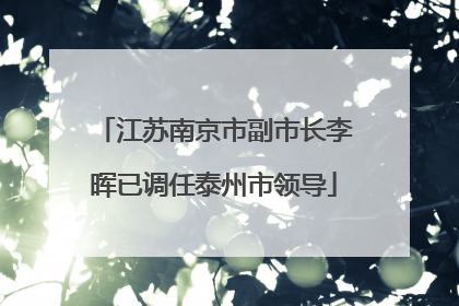 江苏南京市副市长李晖已调任泰州市领导