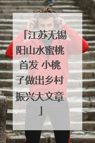 江苏无锡阳山水蜜桃首发 小桃子做出乡村振兴大文章