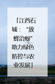 江西石城：“放蜂治蚜”助力绿色防控与农业发展