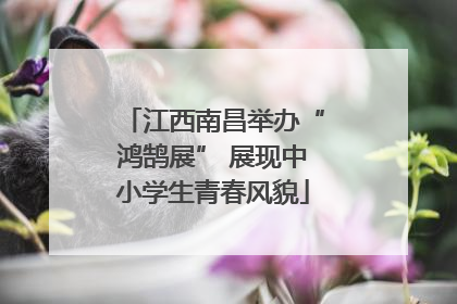 江西南昌举办“鸿鹄展” 展现中小学生青春风貌
