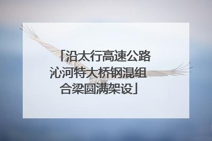 沿太行高速公路沁河特大桥钢混组合梁圆满架设