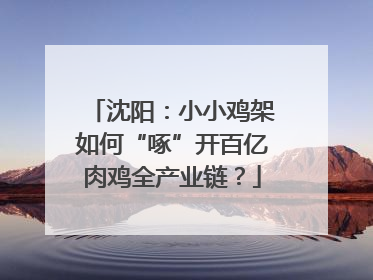 沈阳：小小鸡架如何“啄”开百亿肉鸡全产业链？