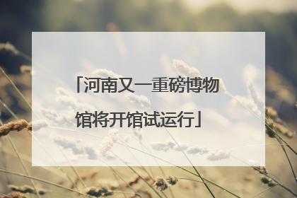 河南又一重磅博物馆将开馆试运行