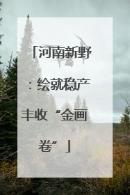 河南新野：绘就稳产丰收“金画卷”