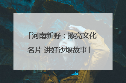 河南新野：擦亮文化名片 讲好沙堰故事
