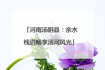 河南汤阴县：亲水栈道畅享汤河风光