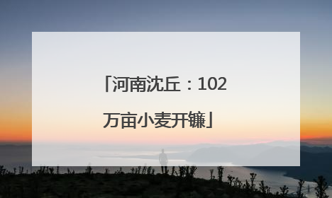 河南沈丘：102 万亩小麦开镰
