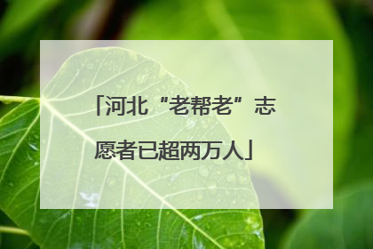 河北“老帮老”志愿者已超两万人