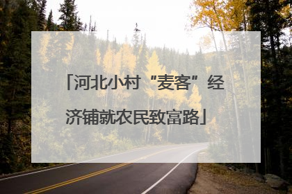 河北小村“麦客”经济铺就农民致富路