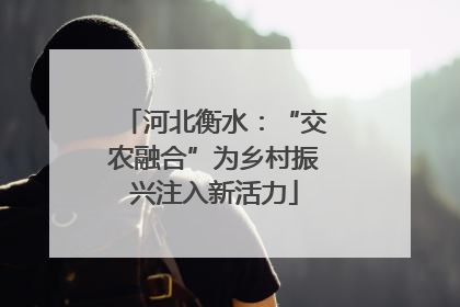 河北衡水：“交农融合”为乡村振兴注入新活力