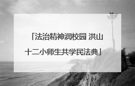 法治精神润校园 洪山十二小师生共学民法典