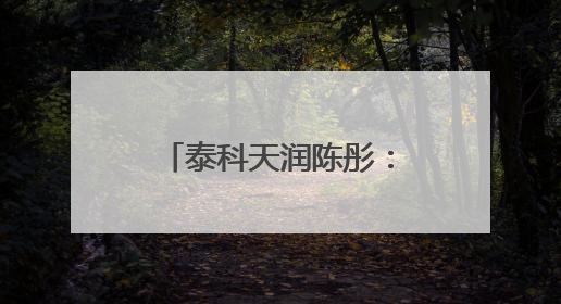 泰科天润陈彤：芯片研发是一场比拼耐力的马拉松｜湘商，向上⑤