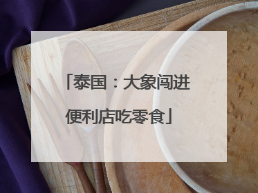 泰国：大象闯进便利店吃零食