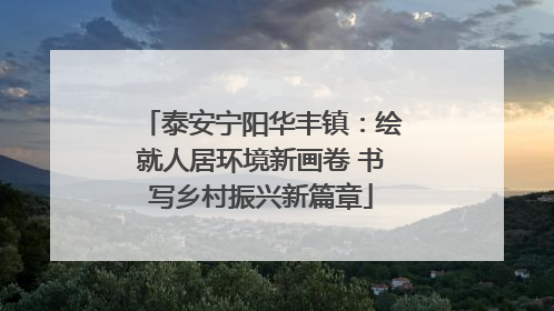 泰安宁阳华丰镇：绘就人居环境新画卷 书写乡村振兴新篇章