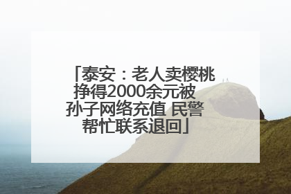 泰安：老人卖樱桃挣得2000余元被孙子网络充值 民警帮忙联系退回