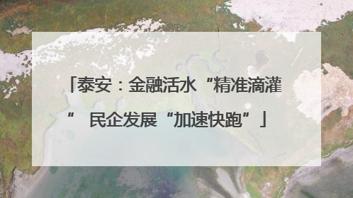 泰安：金融活水“精准滴灌” 民企发展“加速快跑”