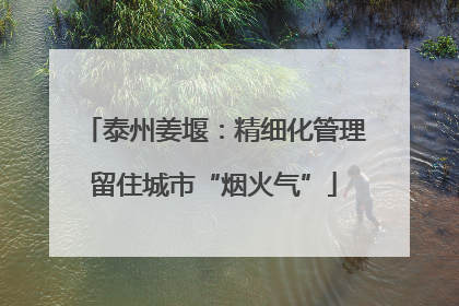 泰州姜堰：精细化管理留住城市“烟火气”