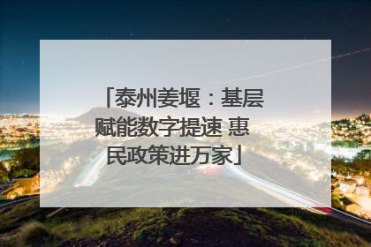 泰州姜堰：基层赋能数字提速 惠民政策进万家
