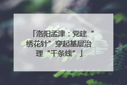 洛阳孟津：党建“绣花针”穿起基层治理“千条线”
