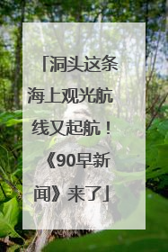 洞头这条海上观光航线又起航！《90早新闻》来了