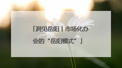 洞见岳阳丨市场化办会的“岳阳模式”