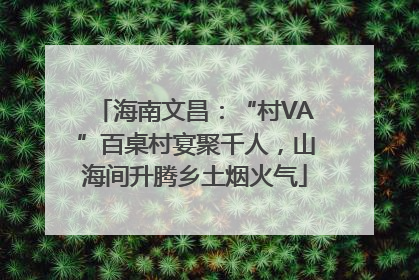 海南文昌：“村VA”百桌村宴聚千人，山海间升腾乡土烟火气