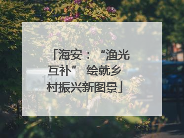 海安：“渔光互补” 绘就乡村振兴新图景