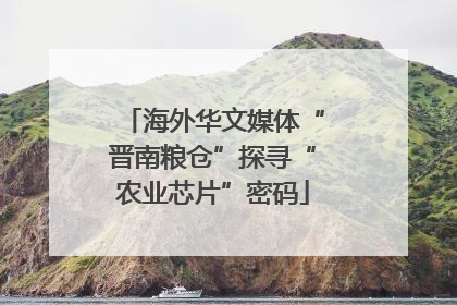 海外华文媒体“晋南粮仓”探寻“农业芯片”密码